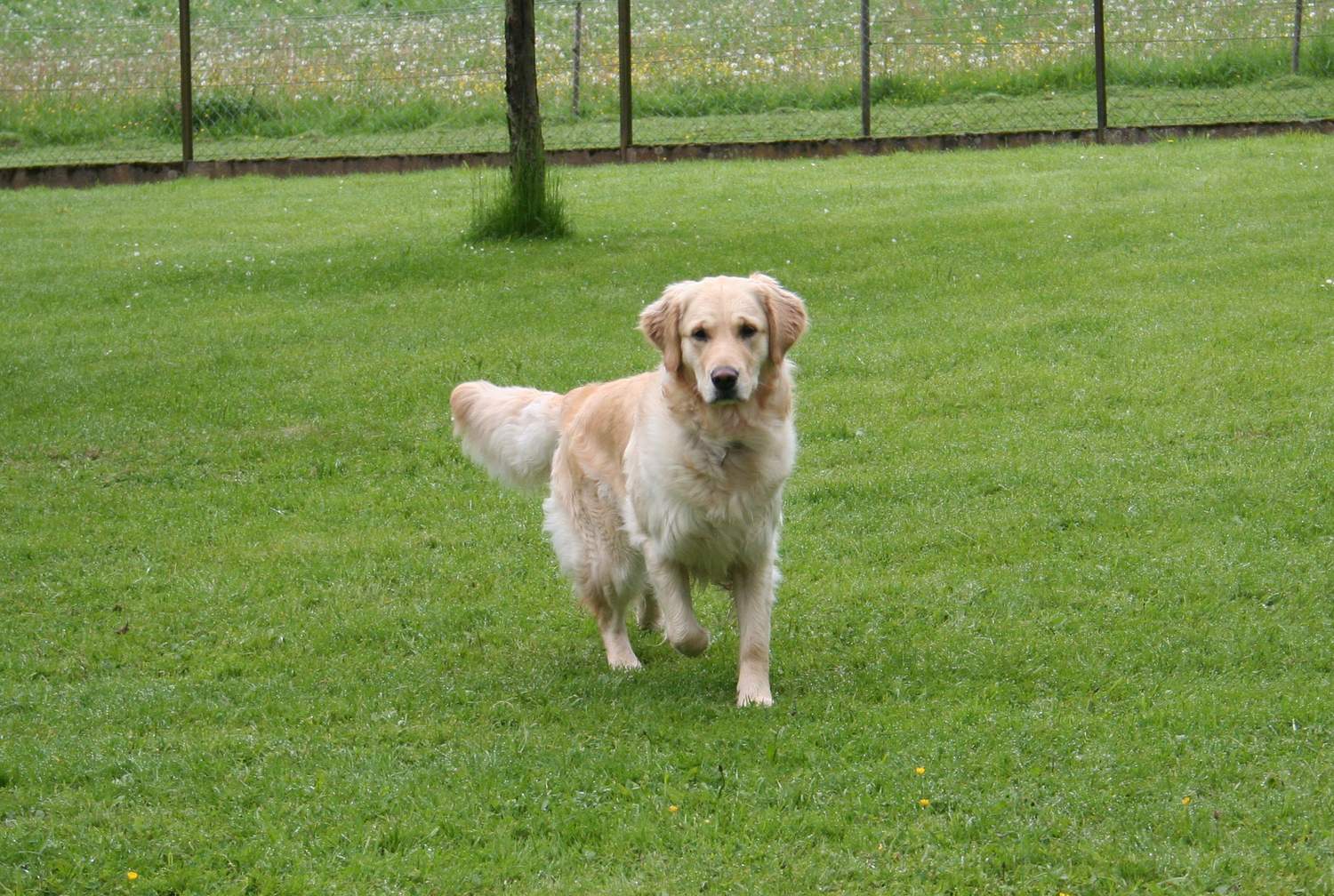 21.05.13 Qwendy IMG_0644 A k