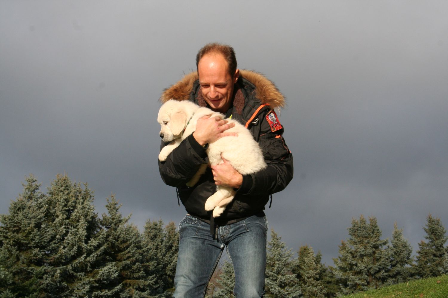 24.11.13 gr�n IMG_8190 k