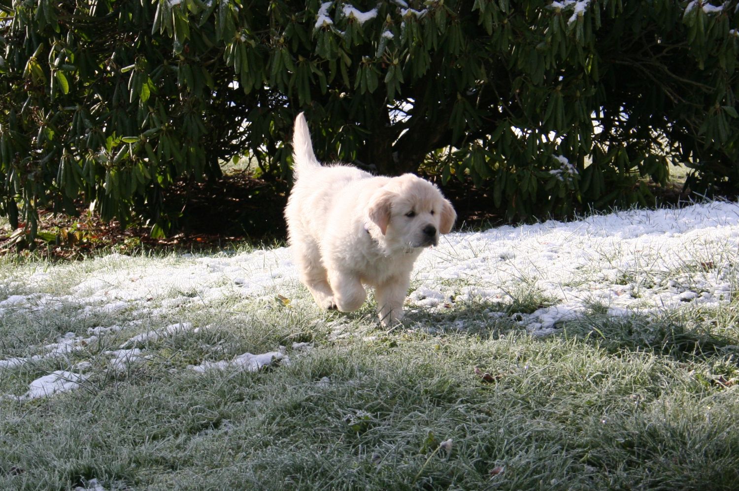 27.11.13 IMG_8316 A k