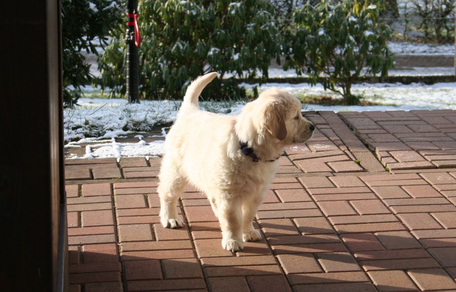 27.11.13 IMG_8322 A k