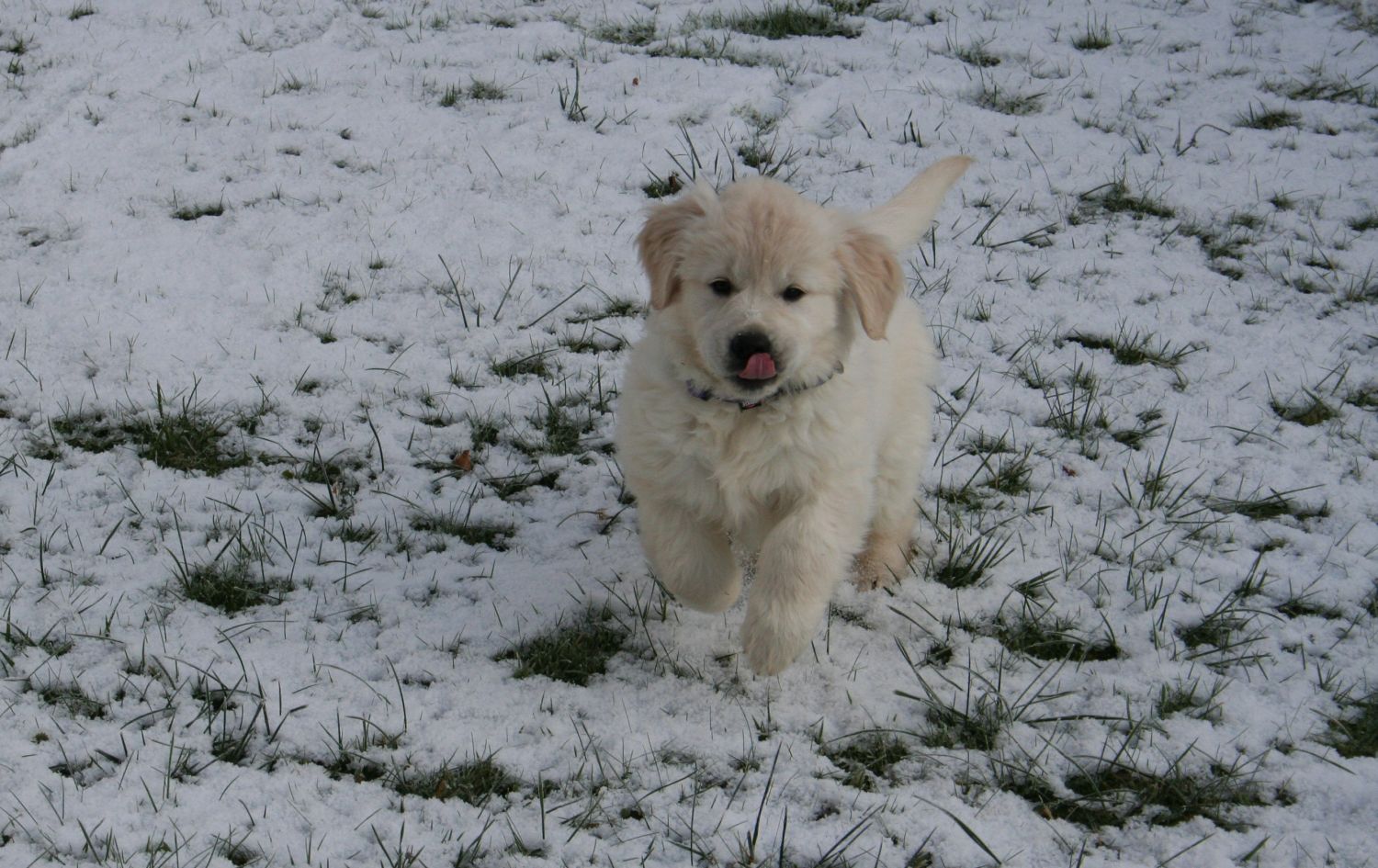 27.11.13 IMG_8354 A k