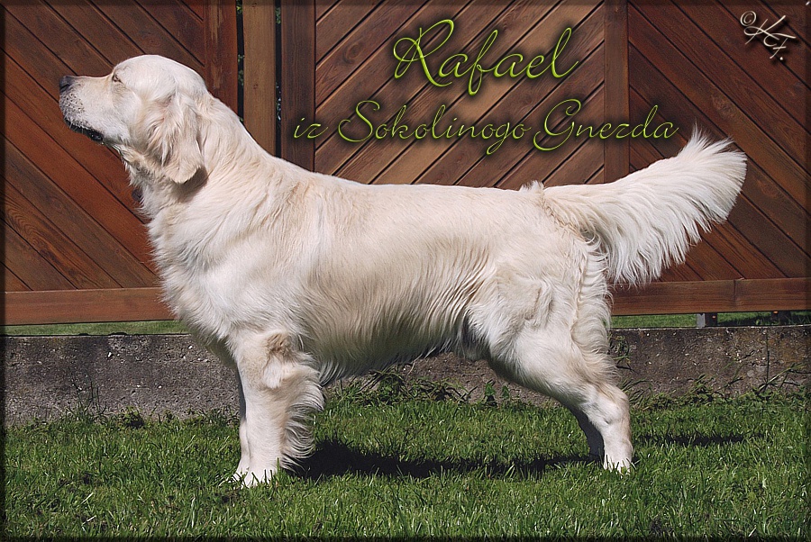 Foto - Kenai - Stand_B