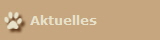 Aktuelles