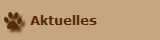 Aktuelles